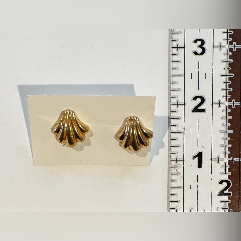 Gold Shell Stud Earrings